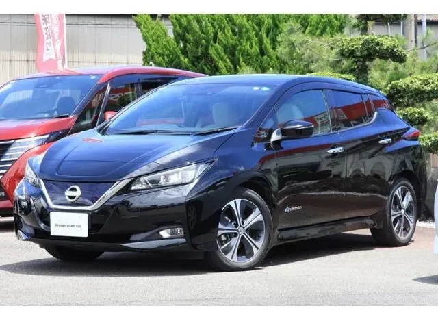 Nissan Leaf 2017
