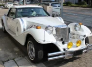 MITSUOKA DORE 1992