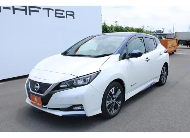 Nissan Leaf 2017