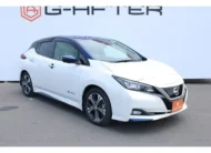 Nissan Leaf 2017