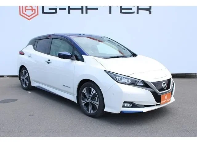 Nissan Leaf 2017
