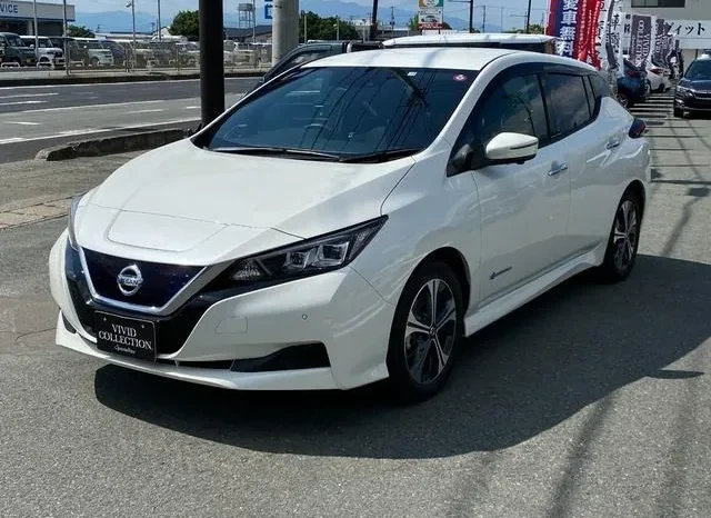 Nissan Leaf 2019