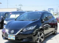 Nissan Leaf 2019