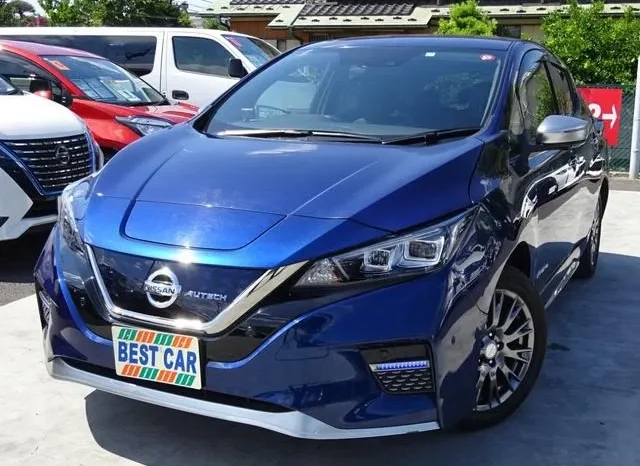Nissan Leaf 2019