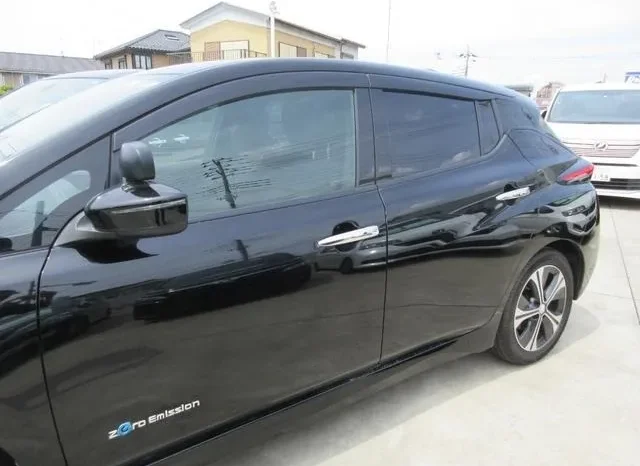 Nissan Leaf 2019