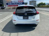 Nissan Leaf 2019